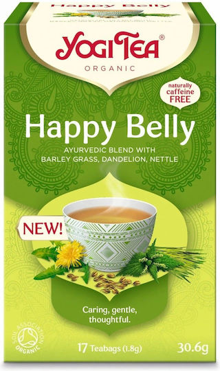 Yogi Tea Organic Product Tea 6 Bags 60gr