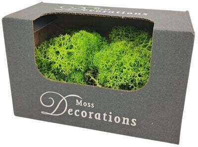 Chortari Moss Norwegische Zweige 50g