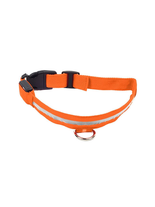 Orange Led Illuminated Collar Dog Cat Avx-ag232c
