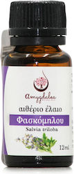Amygdalea Αιθέριο Έλαιο Φασκόμηλο 12ml