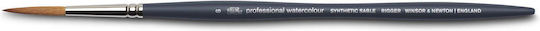 Winsor & Newton 5011306 Professional Watercolor Brush Paintbrush Watercolor Paints Synthetic Fibers Ergonomic Handle Durable & Shape-Retaining Short Handle Rigging Brush No 6