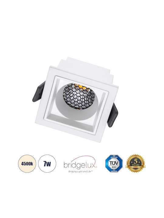 GloboStar LED Natural White Spot with 10 Lights in White Color
