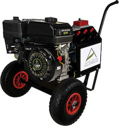 Aggelis Gasoline Olive Harvester Generator 12-30V Aggelis Gasoline Olive Harvester Generator 12-30V
