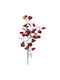 Gisela Graham Artificial Decorative Eucalyptus Branch Red Green 98 Cm