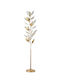 ARlight Flc 782 Gd Floor Lamp with Socket for Bulb E14