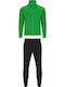 Roly Men's Promotional T-Shirt Ferngreen/Black