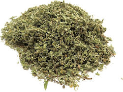 Herbstore Damiana Herbstore Damiana
