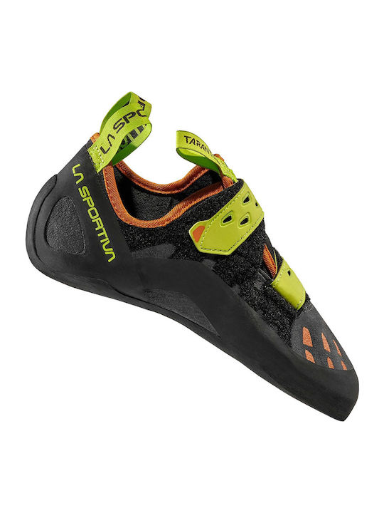 La Sportiva Tarantula Unisex Neutral Climbing Shoes Gray