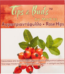 Tips & Buds Αγριοτριαντάφυλλο 10 Φακελάκια