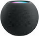 Apple HomePod Μini Smart Hub Wi-Fi / Bluetooth Συμβατό με Apple HomeKit