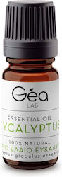 Gea Lab Αιθέριο Έλαιο Ευκάλυπτος 10ml Gea Lab Αιθέριο Έλαιο Ευκάλυπτος 10ml