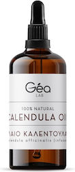 Gea Lab Έλαιο Καλέντουλας 100ml Gea Lab Έλαιο Καλέντουλας 100ml