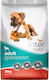 Internutri 20kg Dry Food for Adult Dogs with Chicken and Poultry