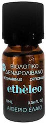 Etheleo Βιολογικό Αιθέριο Έλαιο Δενδρολίβανο 10ml