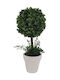 Atmosphera Planter Ceramic Multicolour