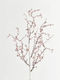 Crăciun Decorativ Sucursala Lungime 72cm. 6buc