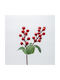 Estheti Pikaki Berries Roșii Frunze Verzi 30cm 6 Bucăți 600-47617