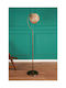 Aithrio Lampa de podea Î165xL30cm. Auriu