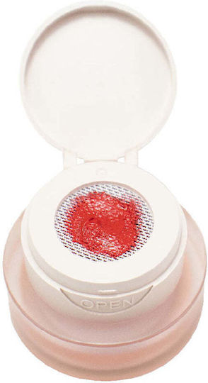 Alezori Nail Gel Passion 2gr