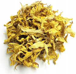 Sunflower Seeds 50 Grams 100% Natural Store Sunflower Seeds 50 Grams 100% Natural Store