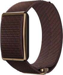 Polar Loop Gen2 Polar Loop Gen2