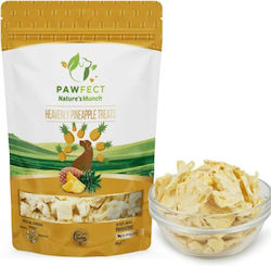 Pawfect Dog Treat 40g Pawfect Dog Treat 40g