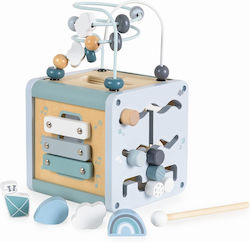 Moni Activity Cube for 36++ Months