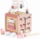 Moni Activity Cube made of Wood for 36++ Months