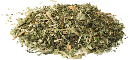 Green Tea Sencha Orange Nettle & Milk Thistle 500gr
