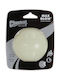 Chuckit Glow Ball Toy Dog Large 1pcs
