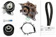 Ina 530 0691 30 Water Pump Timing Belt Set