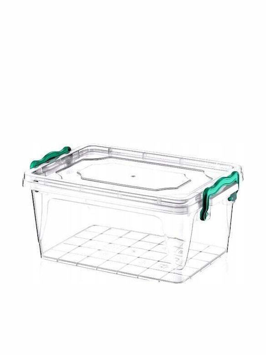 Katex Plastic Cutie de Depozitare cu Capac 21x14x10cm 1buc