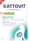 Kattovit Wet Food for Cats with Turkey 85gr
