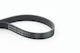 Continental Ctam 6pk800 Ribbed Transmission Belt