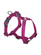 Chaba Chaba Guard S Hundegeschirre Blau 17-27 26-35 1,6cm