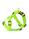 Dingo Dingo Σαμαρι Energy Guard 3 0/55-100cm Πρασινο