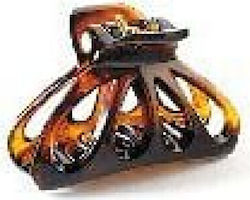 Donegal Dongal Buckle Amber F-5805 275805-fa