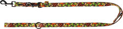 Dingo Leine Reg City Dubai 3.0 X 220cm