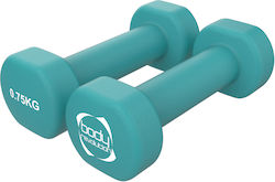 30007 Βαράκι από Νεοπρένιο 1 x 0.75kg