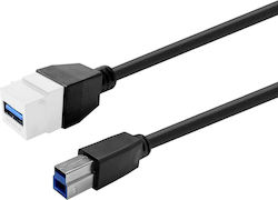 Vivolink Keystone White Usb 3.0 A-female To B-male Prokeyusb3afbm1w Vivolink Keystone White Usb 3.0 A-female To B-male Prokeyusb3afbm1w