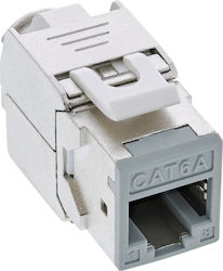 Inline Pachet 8 Bucăți Inline Keystone Rj45 Jack Ecranat Cat.6a Gri Inline Pachet 8 Bucăți Inline Keystone Rj45 Jack Ecranat Cat.6a Gri