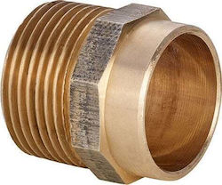 Ibp Ibp Braz Nypel Gz 22x1 150
