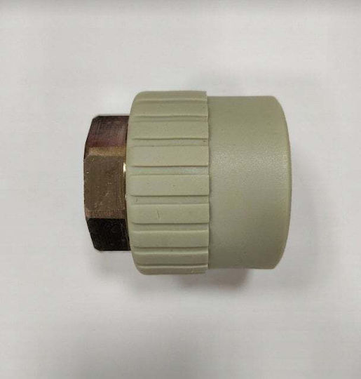 Съединител Fi50x1.1/2 Pp.mg-50x1.1/2