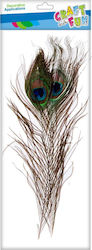Craft Fun Cf Decorative Feather 32cm 1 Piece Peacock Pbh 20/1200