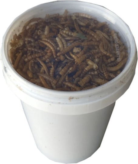 Epigasos Dried Mealworms Mealworm 500ml/90gr