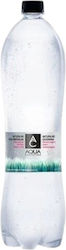 Aqua Carpatica Kohlensäurehaltiges Flaschenwasser 1l