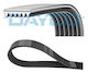Dayco 6pk1250 Ribbed Transmission Belt