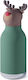 Asobu Stainless Steel Kids Water Bottle Thermos with Straw Asobu Bestie Reindeer 460ml