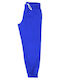 Pantaloni de Trening pentru Copii Albastru Ruy