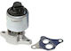 Magneti Marelli AGR-Ventil Auto Engine Ventile